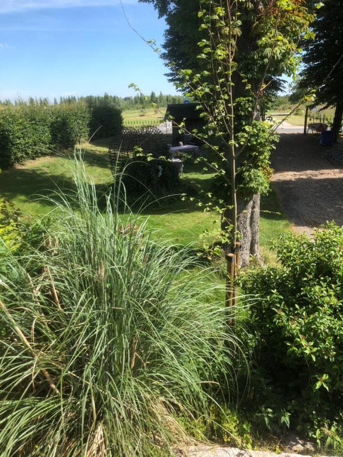 Hoeve Cornelia Berkel en Rodenrijs エクステリア 写真
